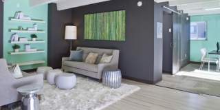 870 Cherry Gallery 12