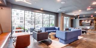 Esperanza Domain Gallery 17