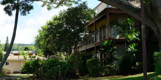Coconut Inn Gallery 21