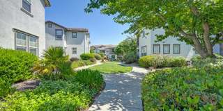 Coventry Park Gallery 43