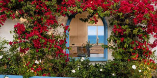 Blue Horizon House Gallery 8