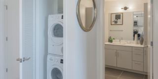 The Carson Gallery 13