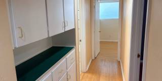 Beautiful 4 Bedroom Home in Hyder Park Gallery 19
