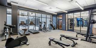 Dream Boyd Theatre Gallery 24