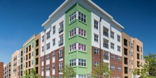 Vanguard Heights Gallery 6