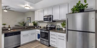 Harbor Pointe Apartments Gallery 16