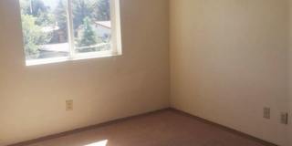 Spacious 4-Bed Condo – Walk to MSU! Gallery 9
