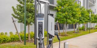 Legacy at Tamarac Gallery 8