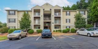 Pine Valley Gallery 1