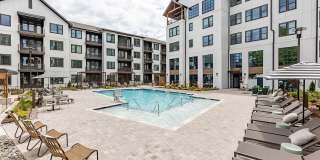 Novel Cary Gallery 6