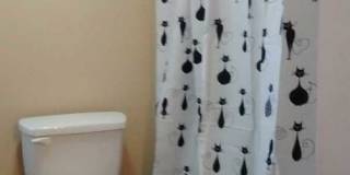 420 7TH STREET NEW CUMBERLAND, PA 17070 420 7TH STREET NEW CUMBERLAND, PA 17070 Gallery 16