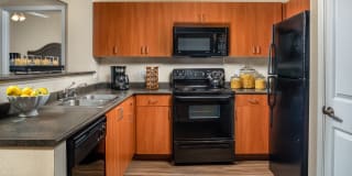 Ridgestone Gallery 4