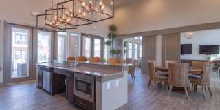 Century Palm Bluff Gallery 19