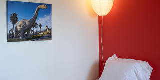 502 E Molino Road Gallery 32