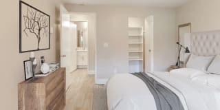 Avana Chestnut Hill Gallery 7