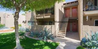 5525 East Thomas Road Gallery 15