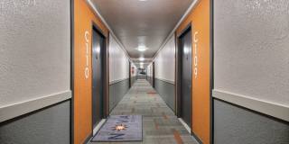 Nova North Gallery 18