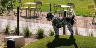 Greenhouse Gallery 56