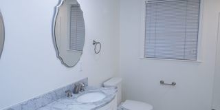 Renovated 5BR Home Minutes from Downtown Columbia | Two Full Kitchens + Fenced Yard ~ Available May 2026! Gallery 40
