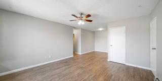 The Meadows Gallery 14