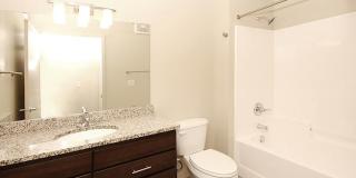 The Elysian Gallery 245