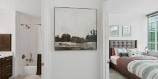 ReNew Oak Park Gallery 6