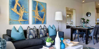 360 Luxury Apartments Gallery 39