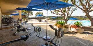 Park Newport Apartments Gallery 37