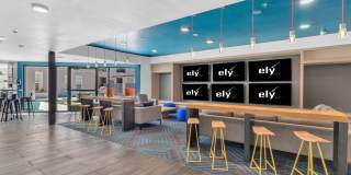 Ely on Fremont Gallery 45