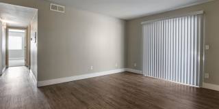 Portofino Gallery 14