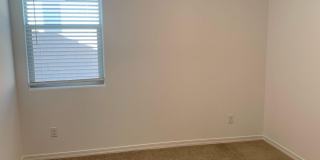 29437 N 113th Lane Gallery 19