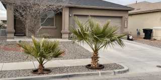 13123 Kestrel Ave Gallery 1