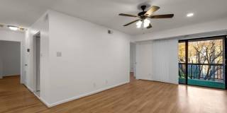 11238 CHERRY HILL Road Gallery 15