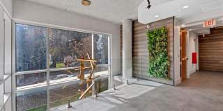 525 E JACKSON STREET Gallery 10