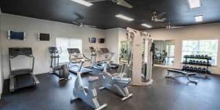 Thornberry Park Gallery 37