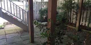 1807 FAWNCREST Court Gallery 13
