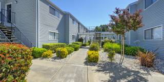 Silverstone Apartments Gallery 46