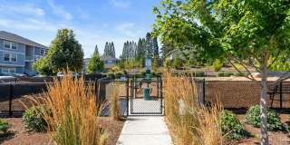 Acero West Salem Gallery 31