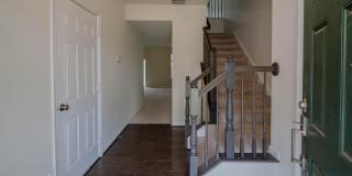5004 FOREST PINES Drive Gallery 28