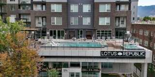 Lotus Republic Gallery 27