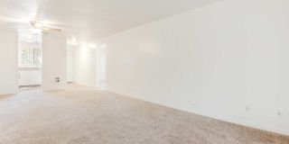 Colonial Villa Apartments Gallery 3