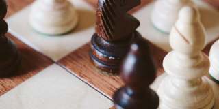 NOVEL Davidson Gallery 25