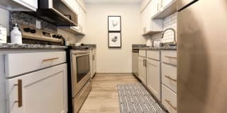 Emerson at Harding Gallery 1