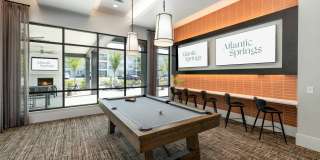 Atlantic Springs Gallery 22