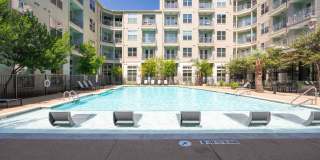 Tree Apartments Gallery 1