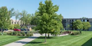 Shoreview Grand Gallery 40