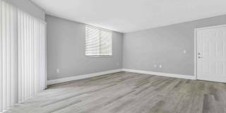 Coral Vista Gallery 55