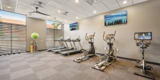 The Ethan Gallery 30