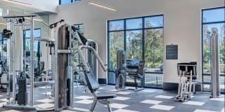 Nexus Brandon Gallery 54