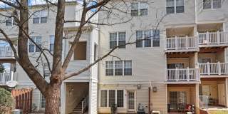 21877 ELKINS Terrace Gallery 30